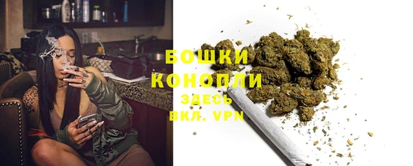 стаф Белоозёрский