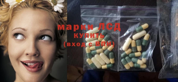 стаф Белоозёрский