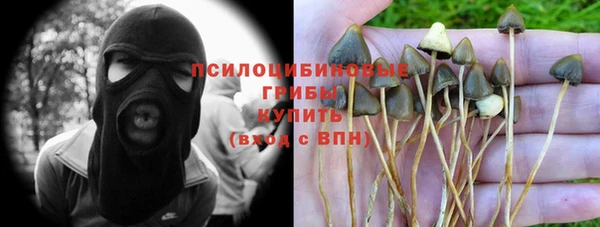 стаф Белоозёрский