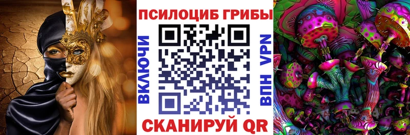 Купить где  Буйнакск  Галлюциногенные грибы Psilocybe 